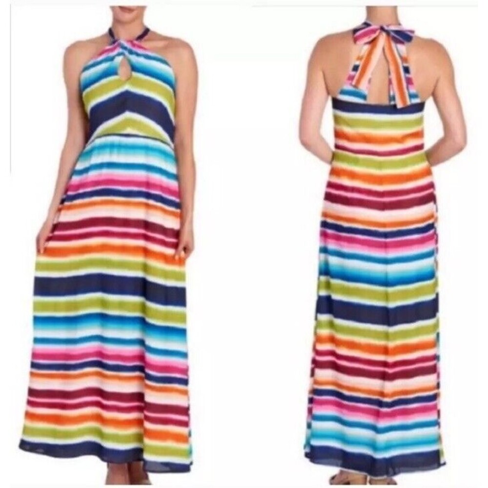 V Cristina Multi Color Ombré Maxi Dress NWT Size 4